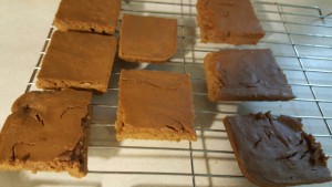 chocolate-peanut-butter-protein-bars