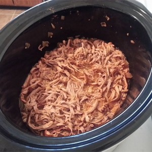 Slow Cooker Mexican Style Meat