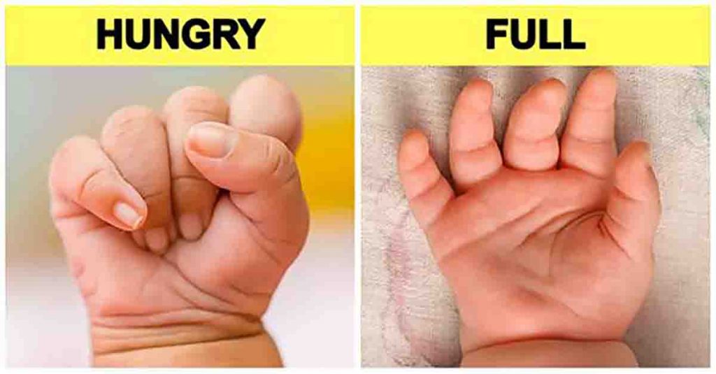 18 Useful Signs That Will Help You Understand Your Baby Before They Can