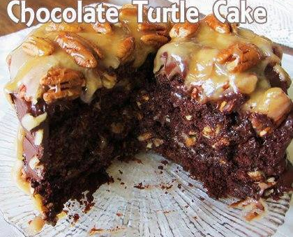 Easy Homemade Chocolate Turtle Cake